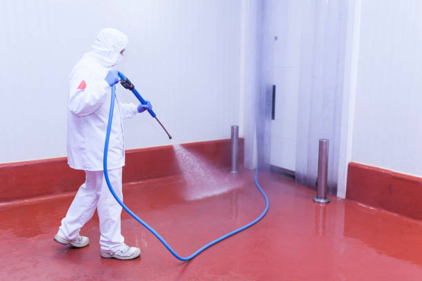 Reliable Seven Mile, AZ Pressure Washing Solutions